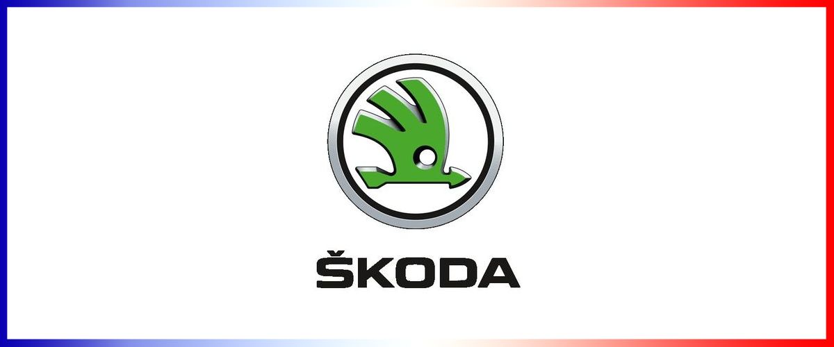 Démarches carte grise pour Skoda